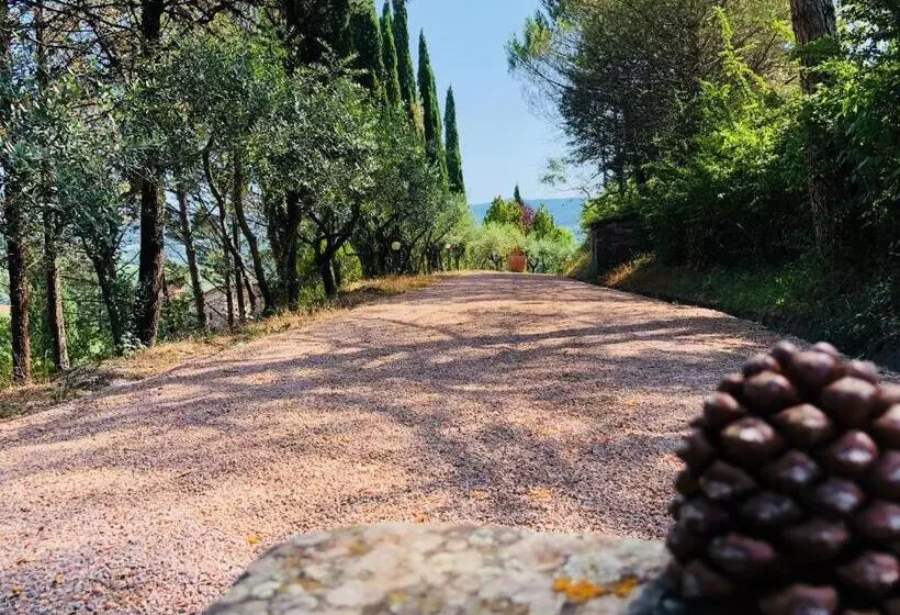 ホテル Agriturismo Borgo Il Bonagino