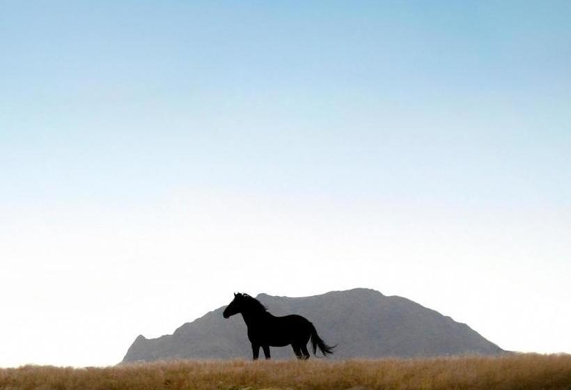 هتل Desert Horse Inn