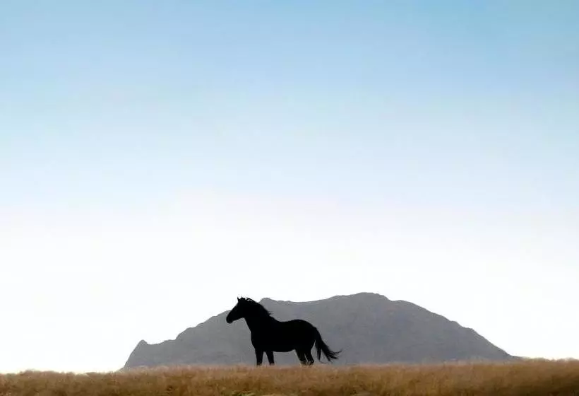 هتل Desert Horse Inn