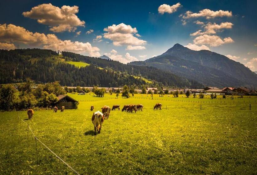 בית מלון כפרי Ferienhof Unterlehengut