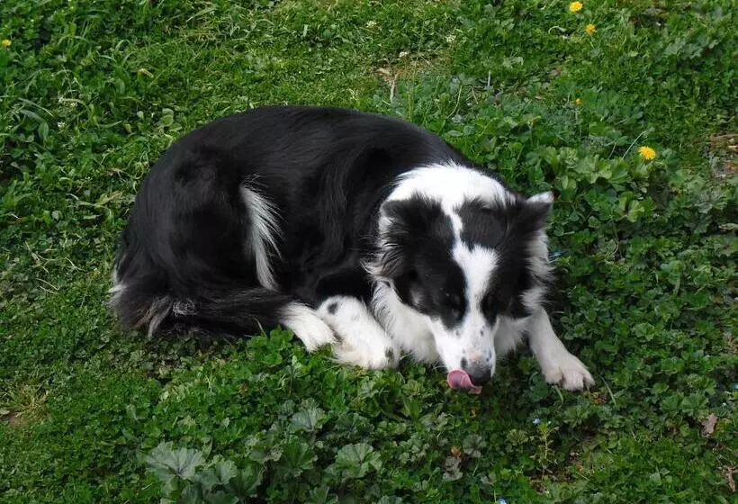 Maaseutuhotelli Poggio Petrella