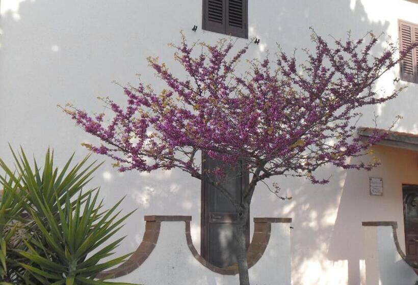 בית מלון כפרי Poggio Petrella