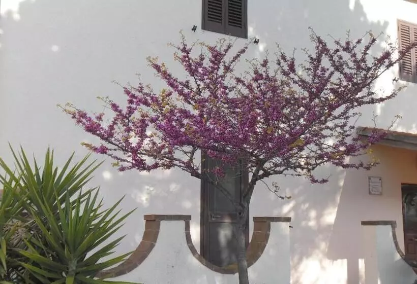 Maaseutuhotelli Poggio Petrella