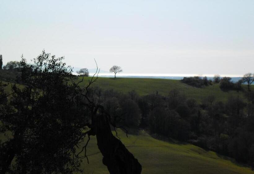 בית מלון כפרי Poggio Petrella