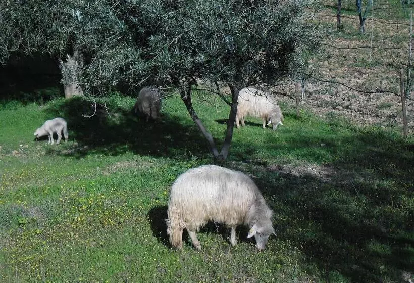 Maaseutuhotelli Poggio Petrella