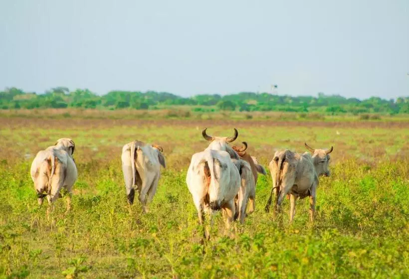 Hostel Pueblito Magico