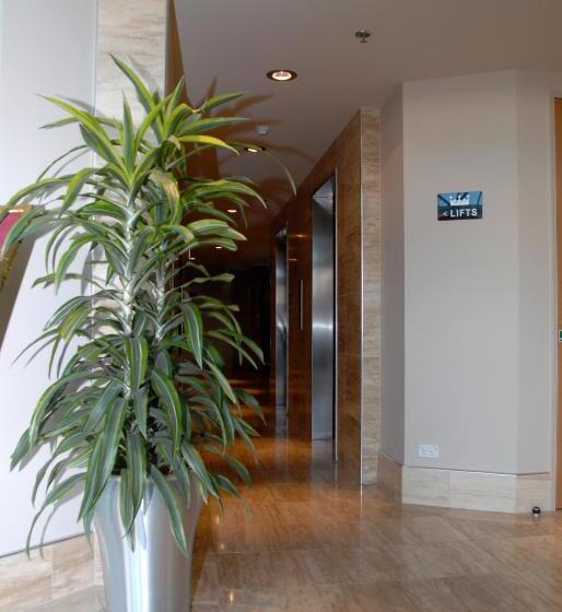 Top Of The Town Bed & Breakfast