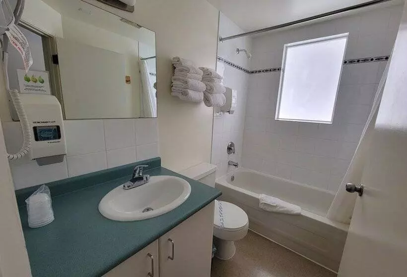 Mountain Springs Motel