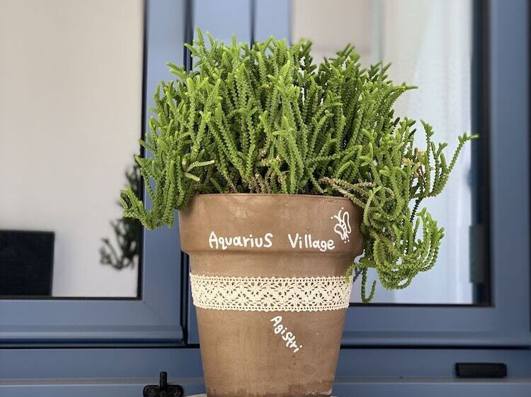 هتل Aquarius Village Agistri