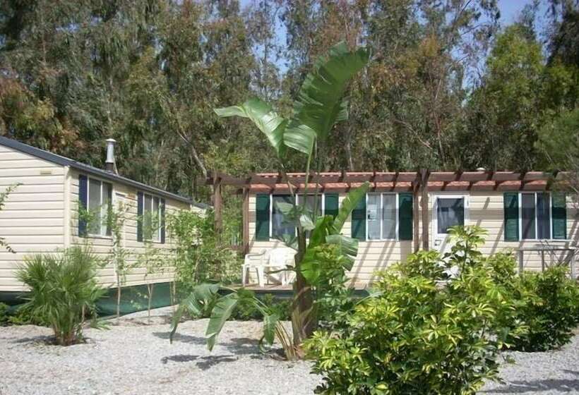 فندق Batuca Village & Camping