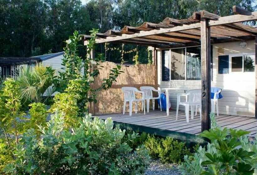 فندق Batuca Village & Camping