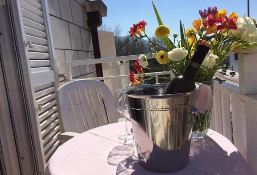 בית מלון כפרי Pansion Srebreno