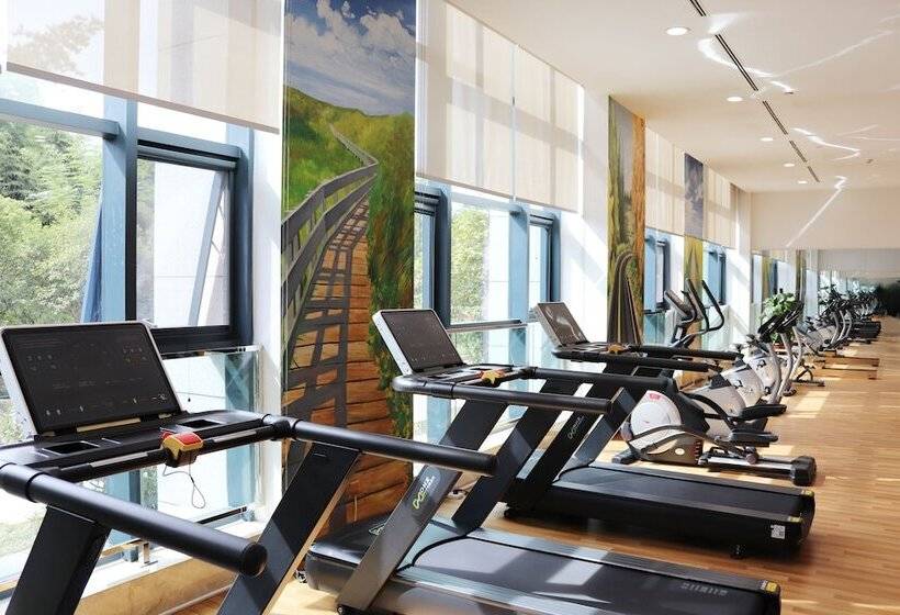 בית מלון כפרי Queensir International