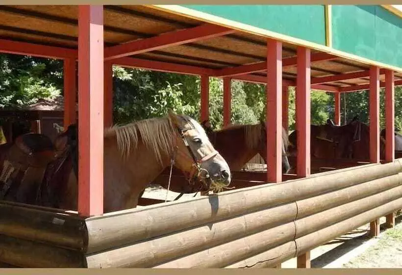 ホテル To Kallion