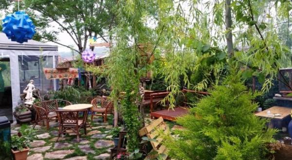 Ala Otel Konukevi Agva