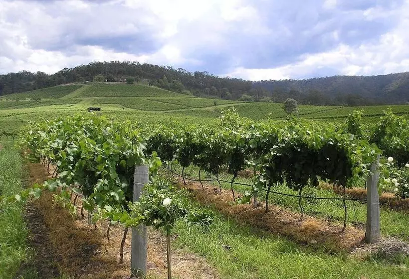تختخواب و صبحانه Anja S Place In The Hunter Valley