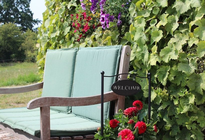 Cozy Apartment In Hohenkirchen With Terrace