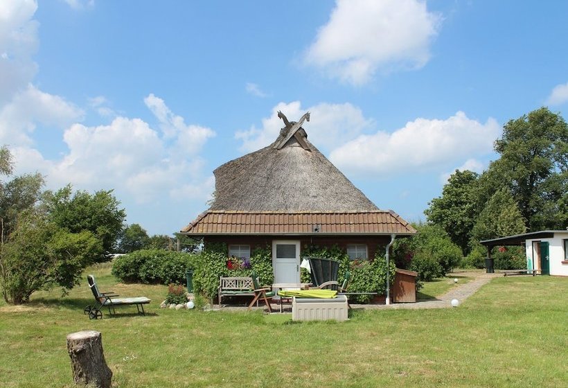 Cozy Apartment In Hohenkirchen With Terrace