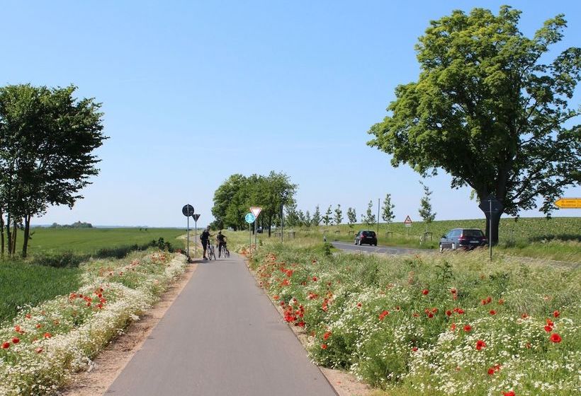 Cozy Apartment In Hohenkirchen With Terrace