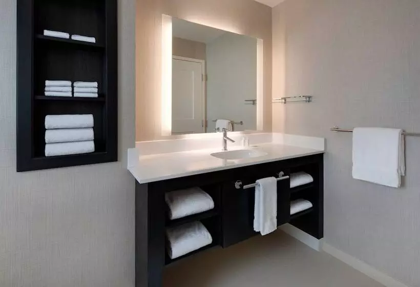 ホテル Residence Inn By Marriott Waco South