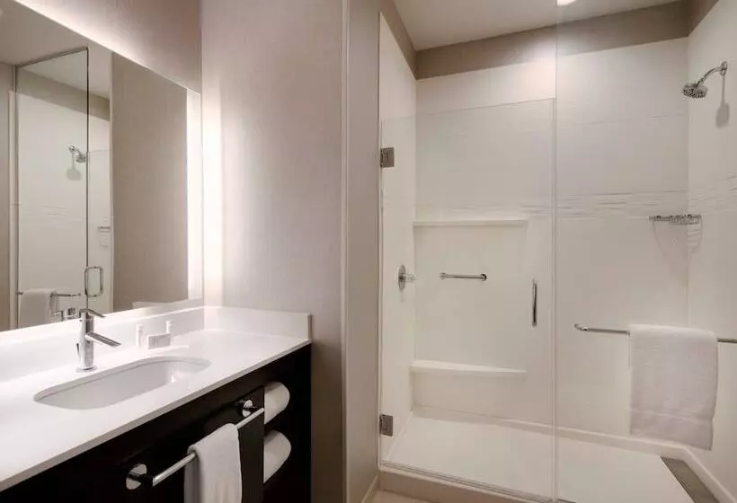 ホテル Residence Inn By Marriott Waco South