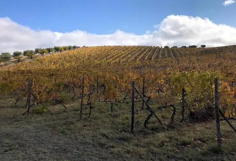 Maaseutuhotelli Quinta Da Pereira E Enricas Agro Turismo