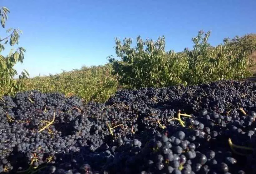 Maaseutuhotelli Quinta Da Pereira E Enricas Agro Turismo