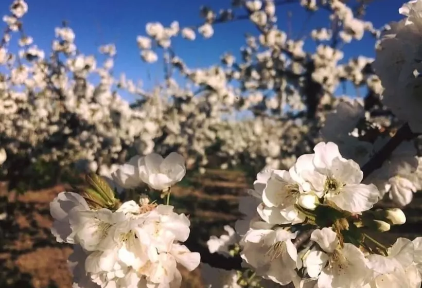 Maaseutuhotelli Quinta Da Pereira E Enricas Agro Turismo