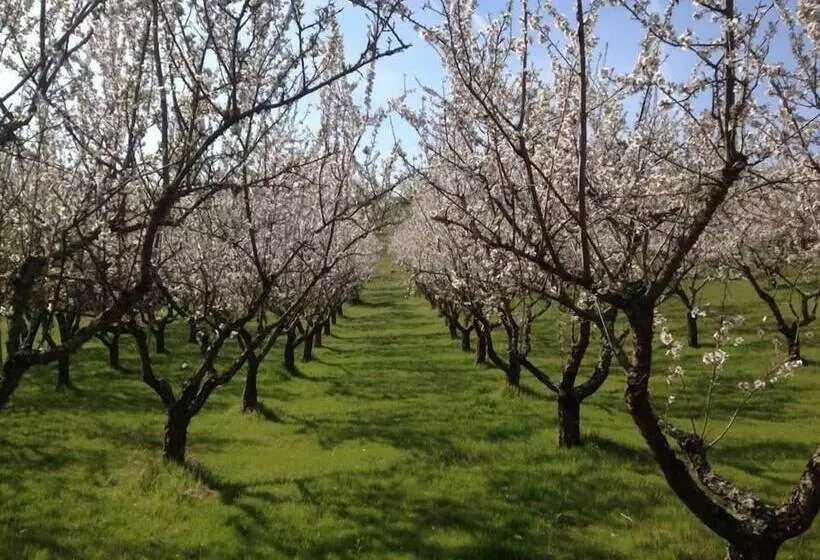 Maaseutuhotelli Quinta Da Pereira E Enricas Agro Turismo
