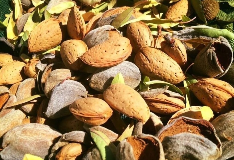 교외 호텔 Quinta Da Pereira E Enricas Agro Turismo