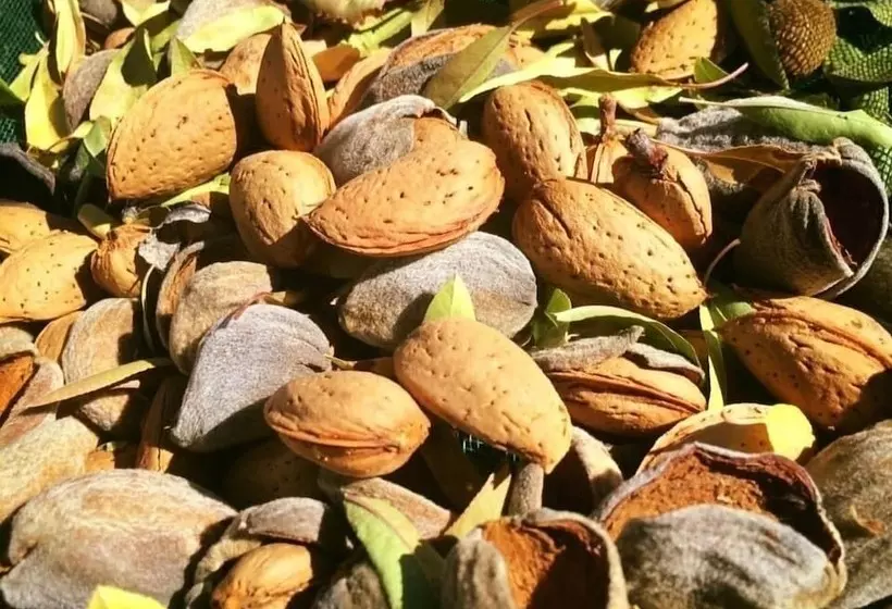 Maaseutuhotelli Quinta Da Pereira E Enricas Agro Turismo