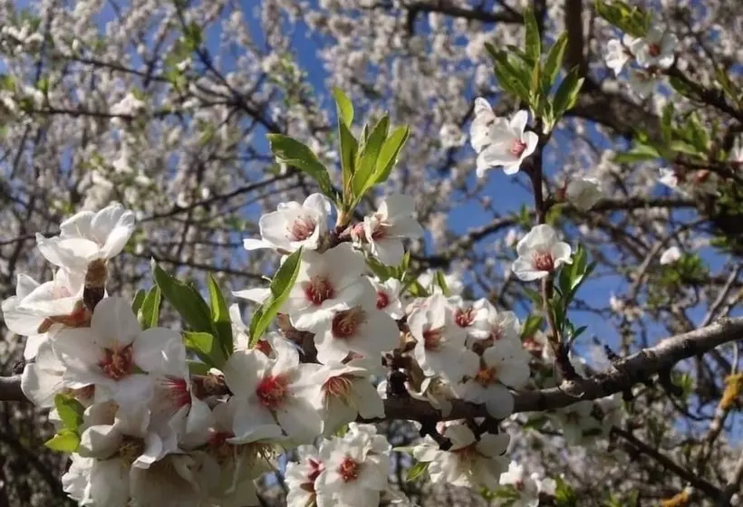 Maaseutuhotelli Quinta Da Pereira E Enricas Agro Turismo