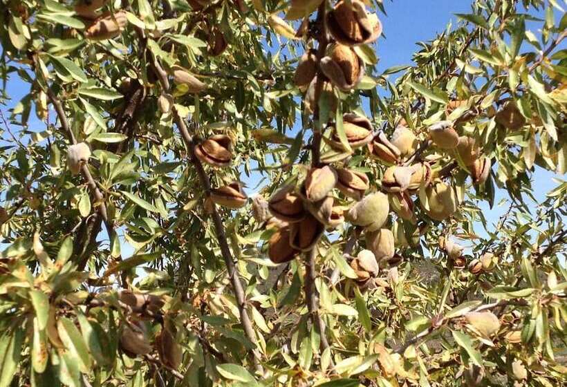 교외 호텔 Quinta Da Pereira E Enricas Agro Turismo