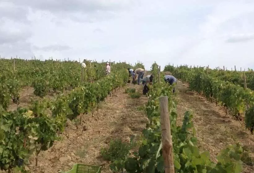 Maaseutuhotelli Quinta Da Pereira E Enricas Agro Turismo