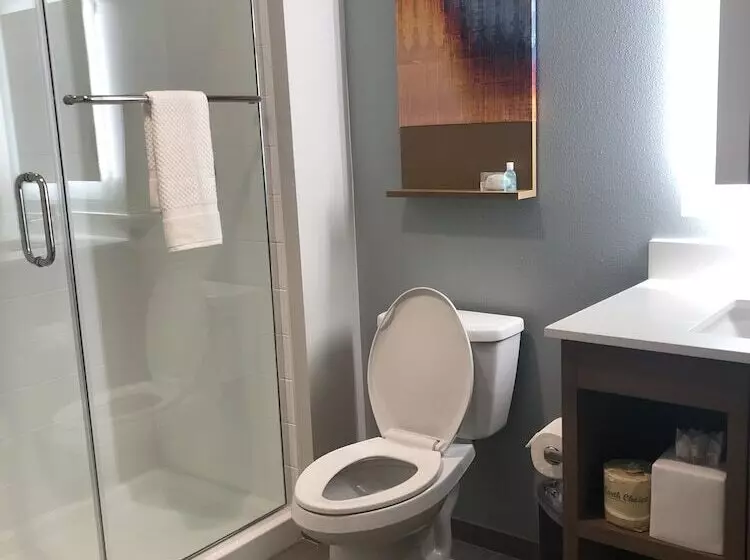 Mainstay Suites Durango