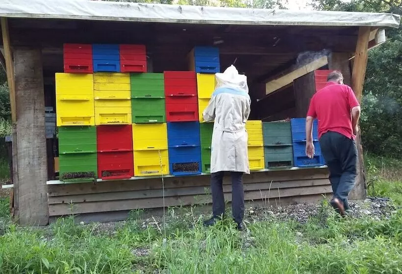 پانسیون Guest House Tara