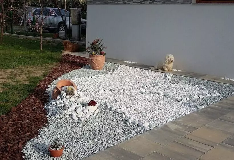 پانسیون Guest House Tara