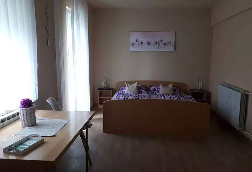 پانسیون Guest House Tara