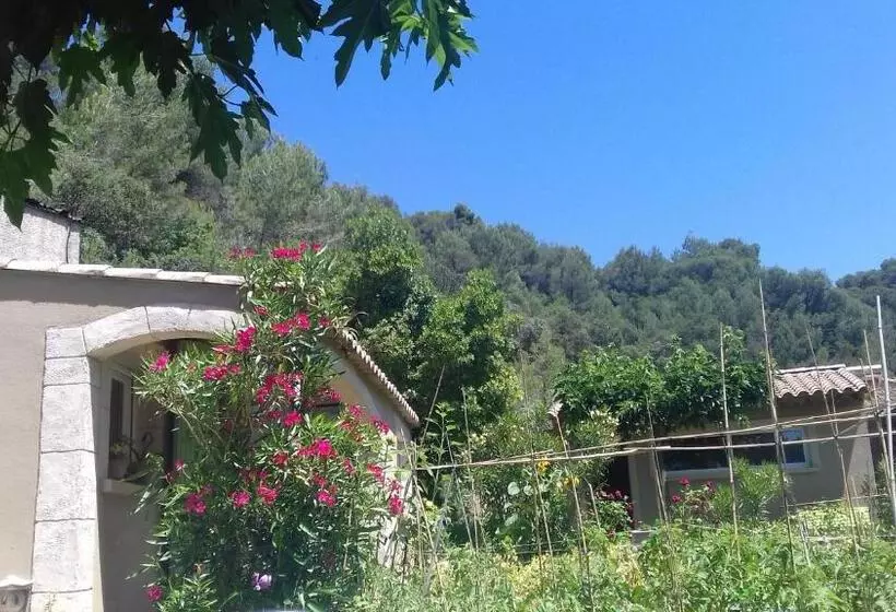 ペンション Le Frangipanier