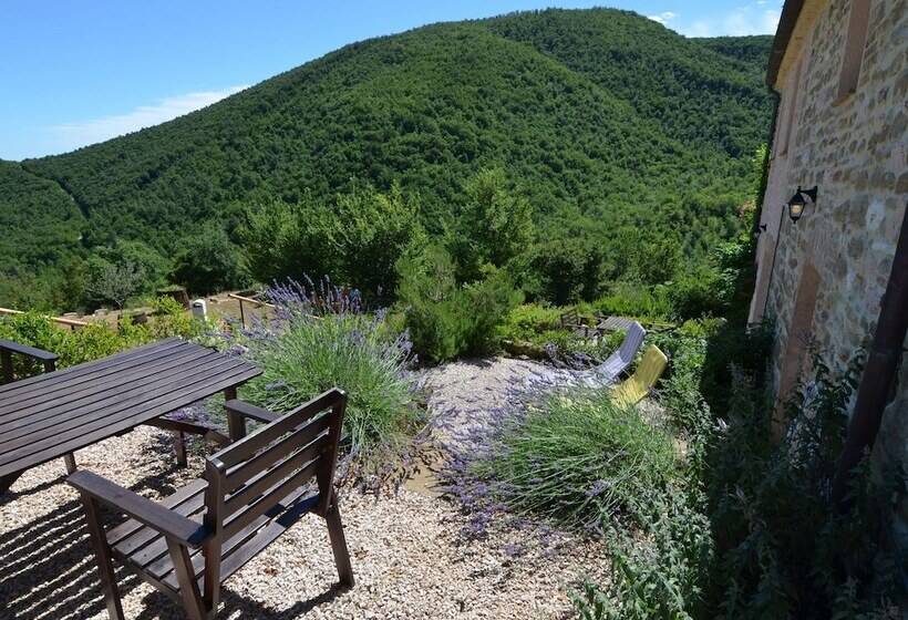 Quaint Cottage In Pergola With Garden