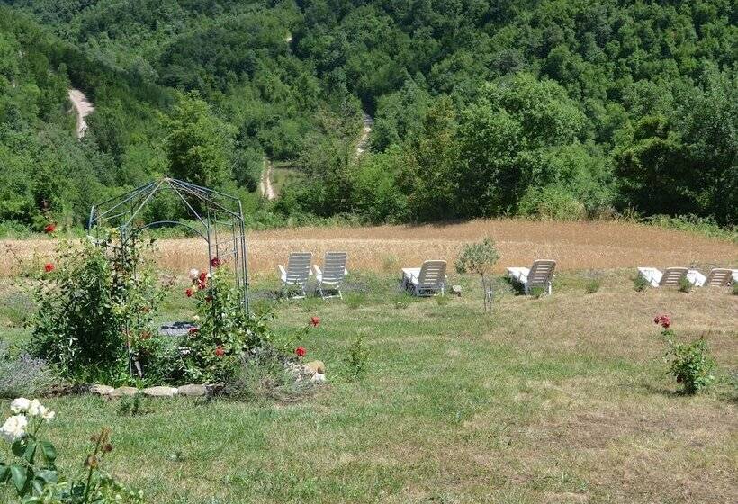 Quaint Cottage In Pergola With Garden