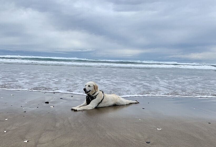 Szálloda Tillamook Bay City Rv Park