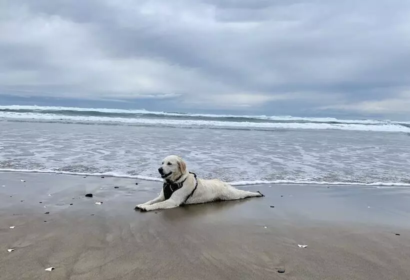 Hotelli Tillamook Bay City Rv Park