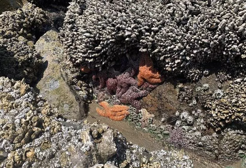 Hotelli Tillamook Bay City Rv Park