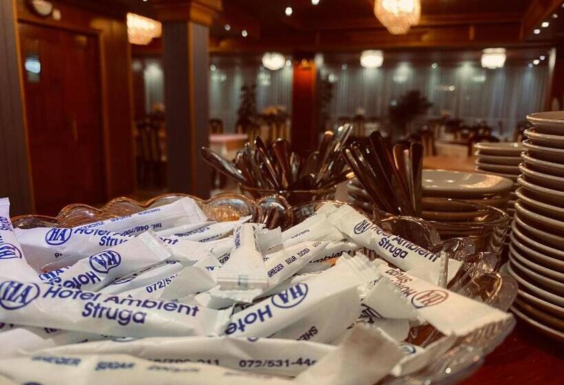 Hotel Ambient   Struga