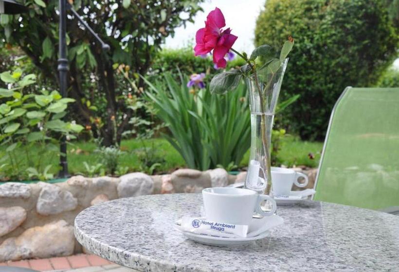 Hotel Ambient   Struga