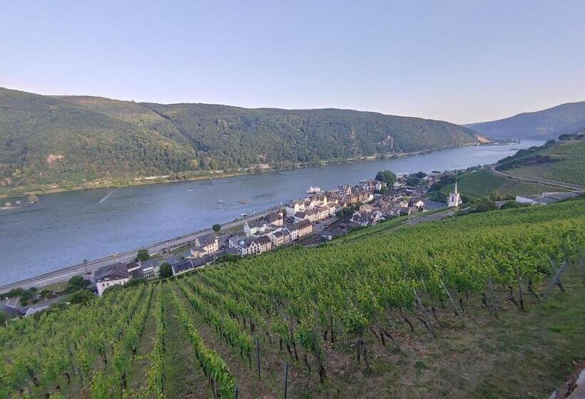 酒店 Berg´s Backpacker