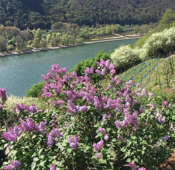 酒店 Berg´s Backpacker