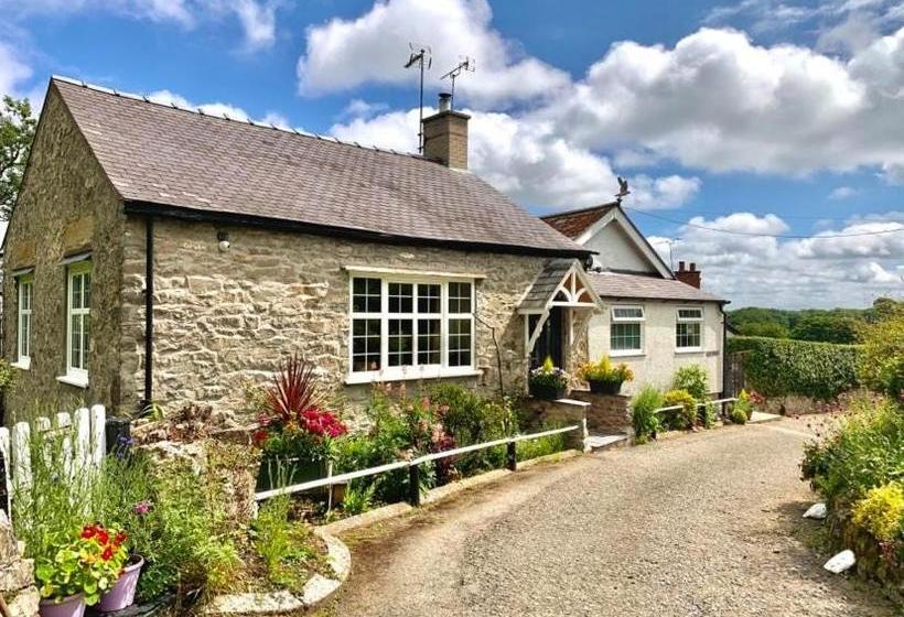 膳宿费 Nesscliffe