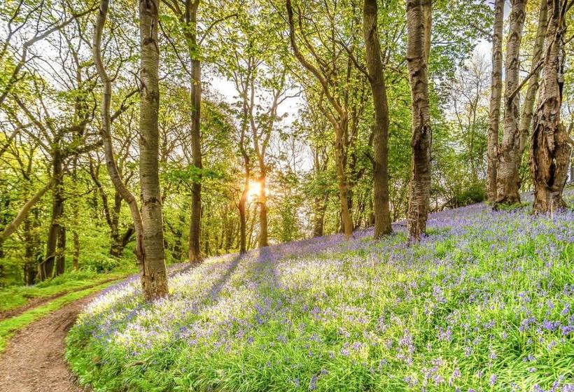 膳宿费 Nesscliffe